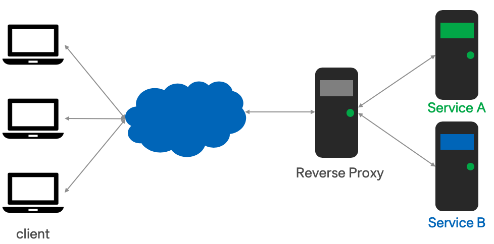 reverse proxy